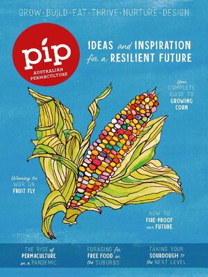 cover image of Pip Magazine